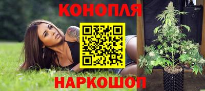 крисы Кимры