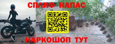 mdpv Кингисепп