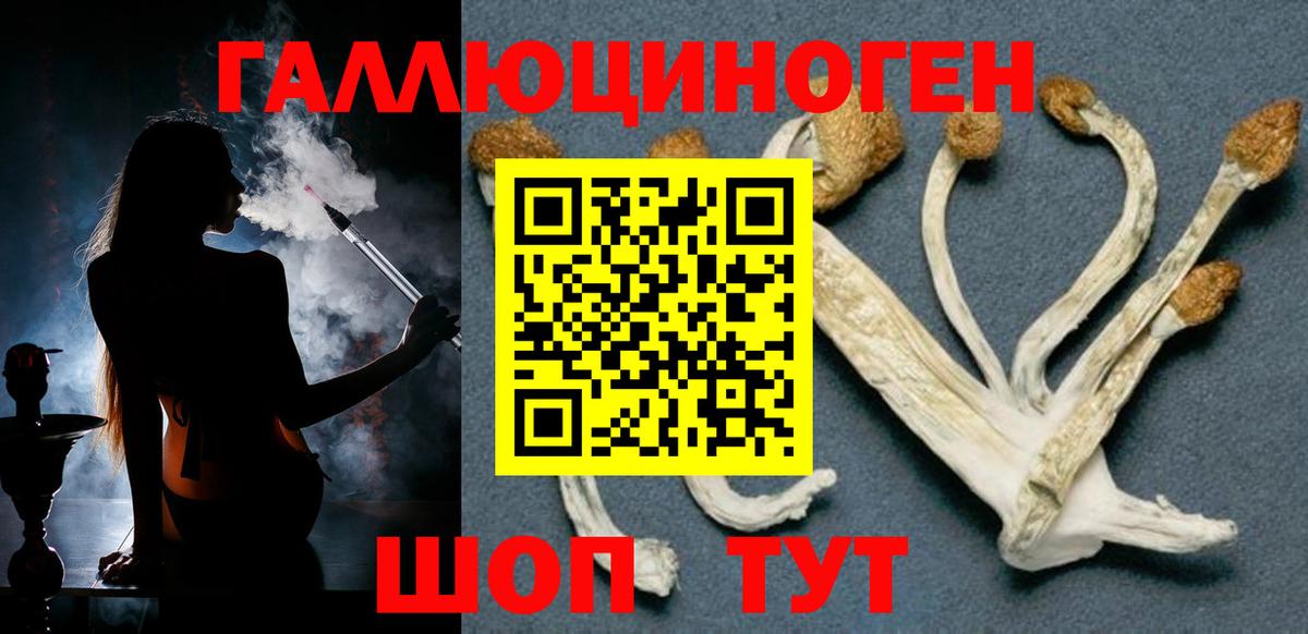 Галлюциногенные грибы ЛСД Крымск