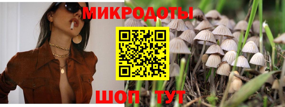 Крымск  Галлюциногенные грибы Psilocybine cubensis  Вход с VPN 